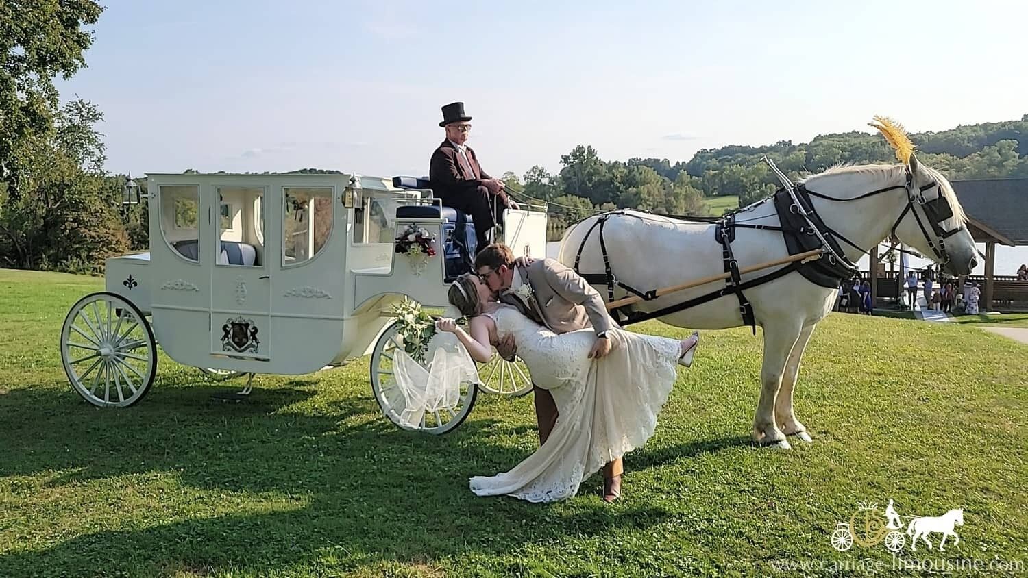 Carriage Limousine Service, Horse Drawn Carriages