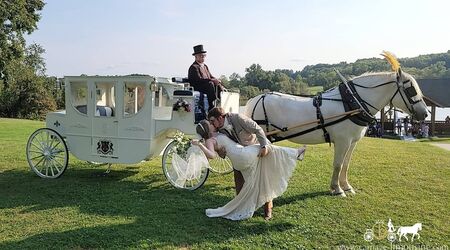 Carriage Limousine Service - Horse Drawn Carriages