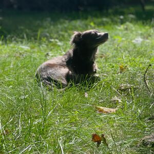 Gallery Photo 33