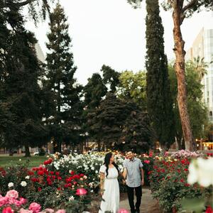 Gallery Photo 5