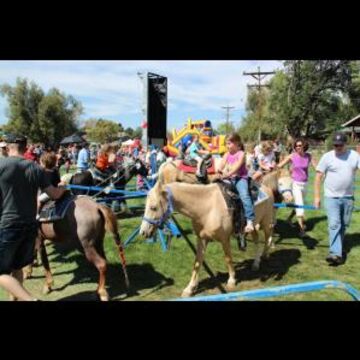 Pony Express Pony Rides, Petting Zoo - Pony Rides - Longmont, CO - Hero Main