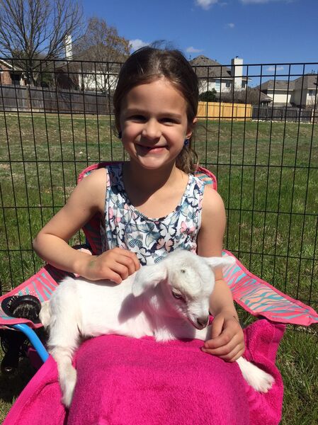 Fannie S Farm Friends Petting Zoo Liberty Hill Tx The Bash