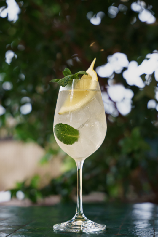 BBQ Party Ideas - DIY Spritz