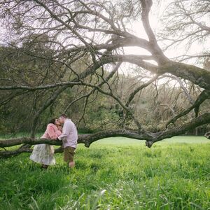 Gallery Photo 42