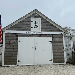 Gallery Photo 2