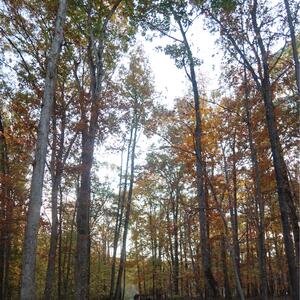 Gallery Photo 44