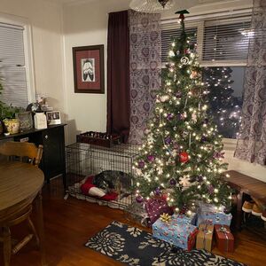 Gallery Photo 34