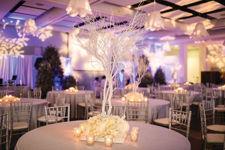 Atlanta Botanical Garden | Reception Venues - The Knot