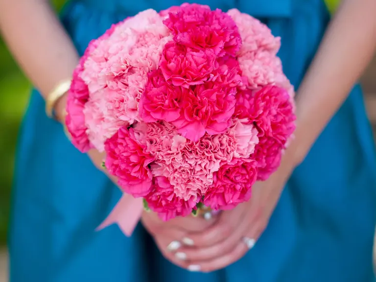 Here's Why Carnation Flowers are the Best for Weddings  Carnations,  Carnation flower, Classic wedding flowers