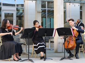 Joy Strings - String Quartet - Cincinnati, OH - Hero Gallery 1