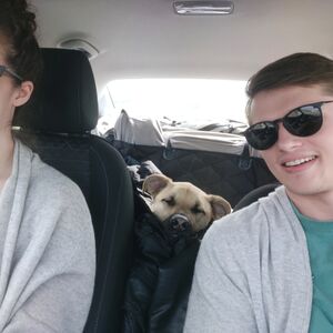 Gallery Photo 21
