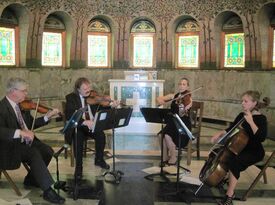 Larkspur Quartet - String Quartet - Minneapolis, MN - Hero Gallery 4