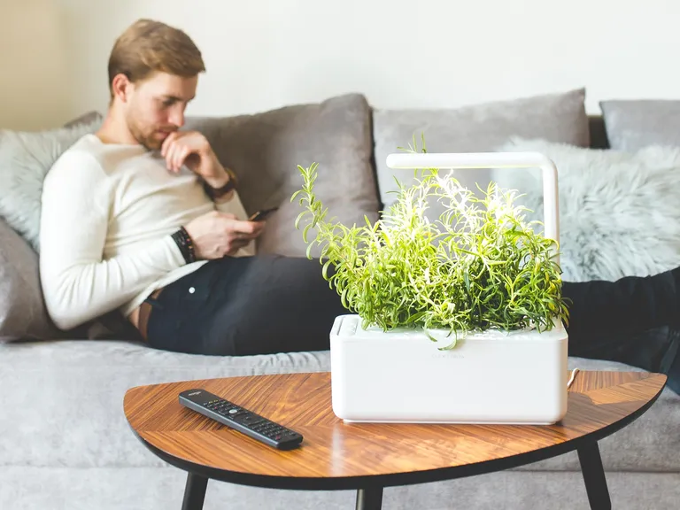 Indoor smart garden in white for 29th anniversary gift