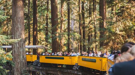 Roaring Camp Railroads Reception Venues The Knot