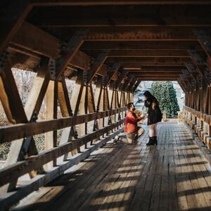 Gallery Photo 1