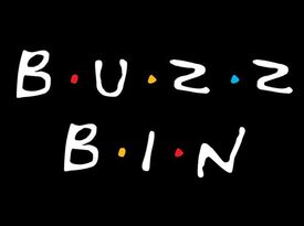 Buzz Bin - Cover Band - Cincinnati, OH - Hero Gallery 2
