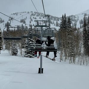 Gallery Photo 4