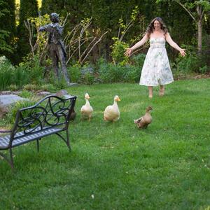 Gallery Photo 14