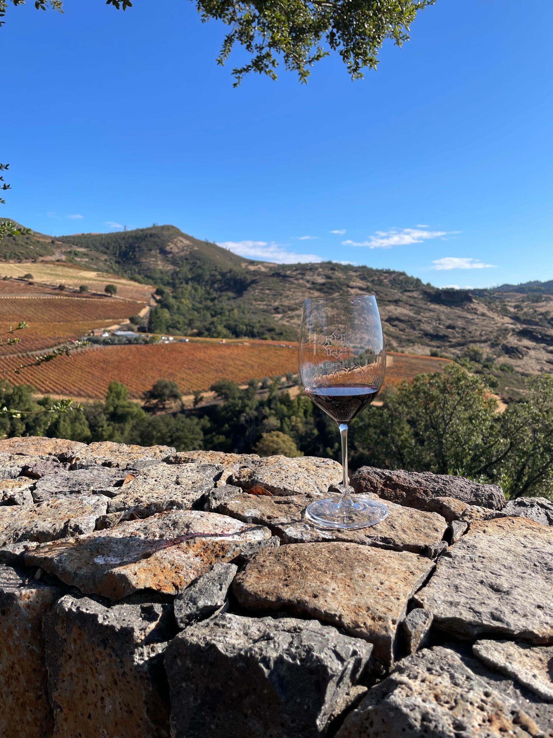 The views were stunning, and the wine was absolutely amazing! 