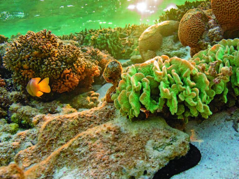 Mythical Places - The Great Barrier Reef
