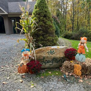 Gallery Photo 28