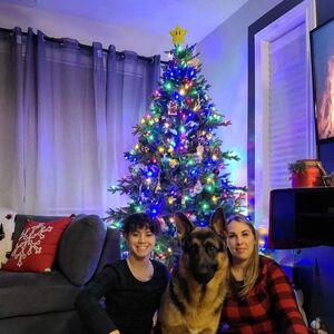 Gallery Photo 24