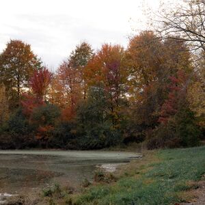 Gallery Photo 14