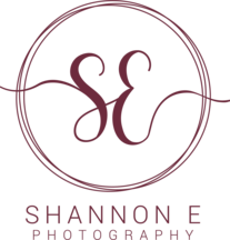 Vendor Logo