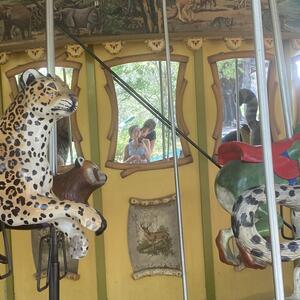 Gallery Photo 68