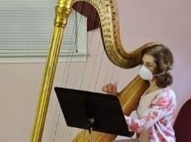 Harp Music By Lisa Handman (harpnotes) - Harpist - Alpharetta, GA - Hero Gallery 2