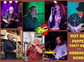 Hot As A Pepper Dance & Party Band - Variety Band - Greenville, SC - Hero Gallery 2