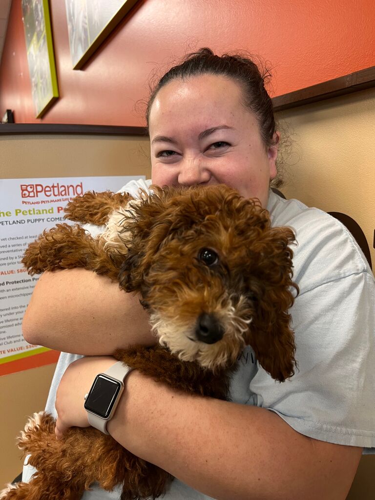 KJ and Jared then went to "just look at dogs" and ended up leaving with this little nugget, who you all know as Biscuit