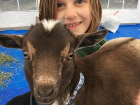 Northwest Animal Adventures - Animal For A Party - Kent, WA - Hero Gallery 2