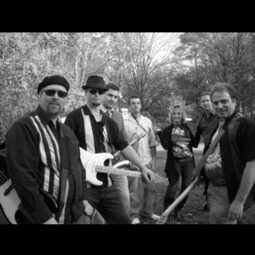 The Darryl Hill Blues Band, profile image