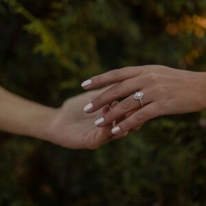 Gallery Photo 43