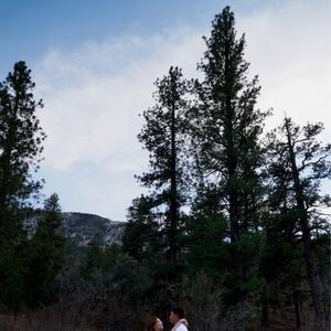 Gallery Photo 33
