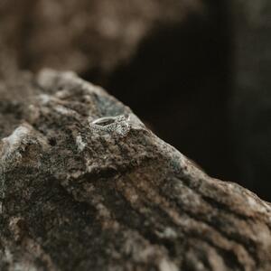 Gallery Photo 34
