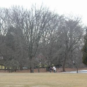 Gallery Photo 2