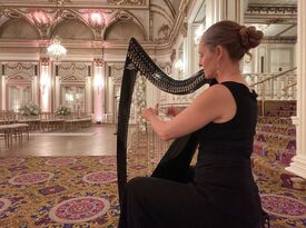 Shelley Otis - Harpist - Stoneham, MA - Hero Gallery 3