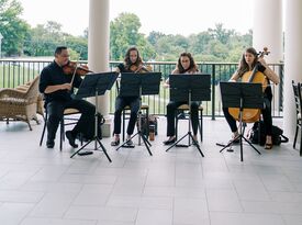 Cherry Blossom String Quartet - String Quartet - Arlington, VA - Hero Gallery 2