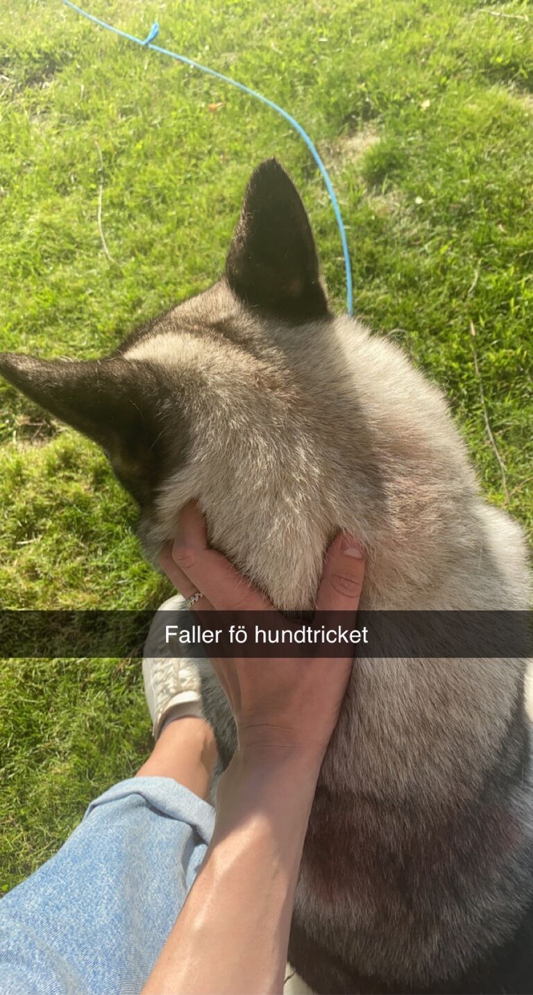 Vår första dejt vid villan i Bastuhamnen. // Ensimmäiset treffit Bastuhamnenin mökillä.