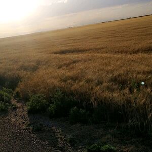 Gallery Photo 9