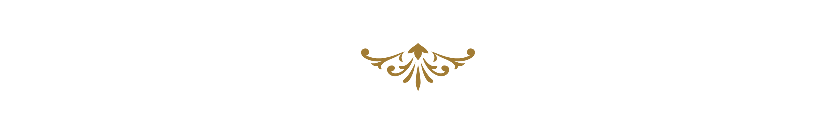 Bottom Theme Image
