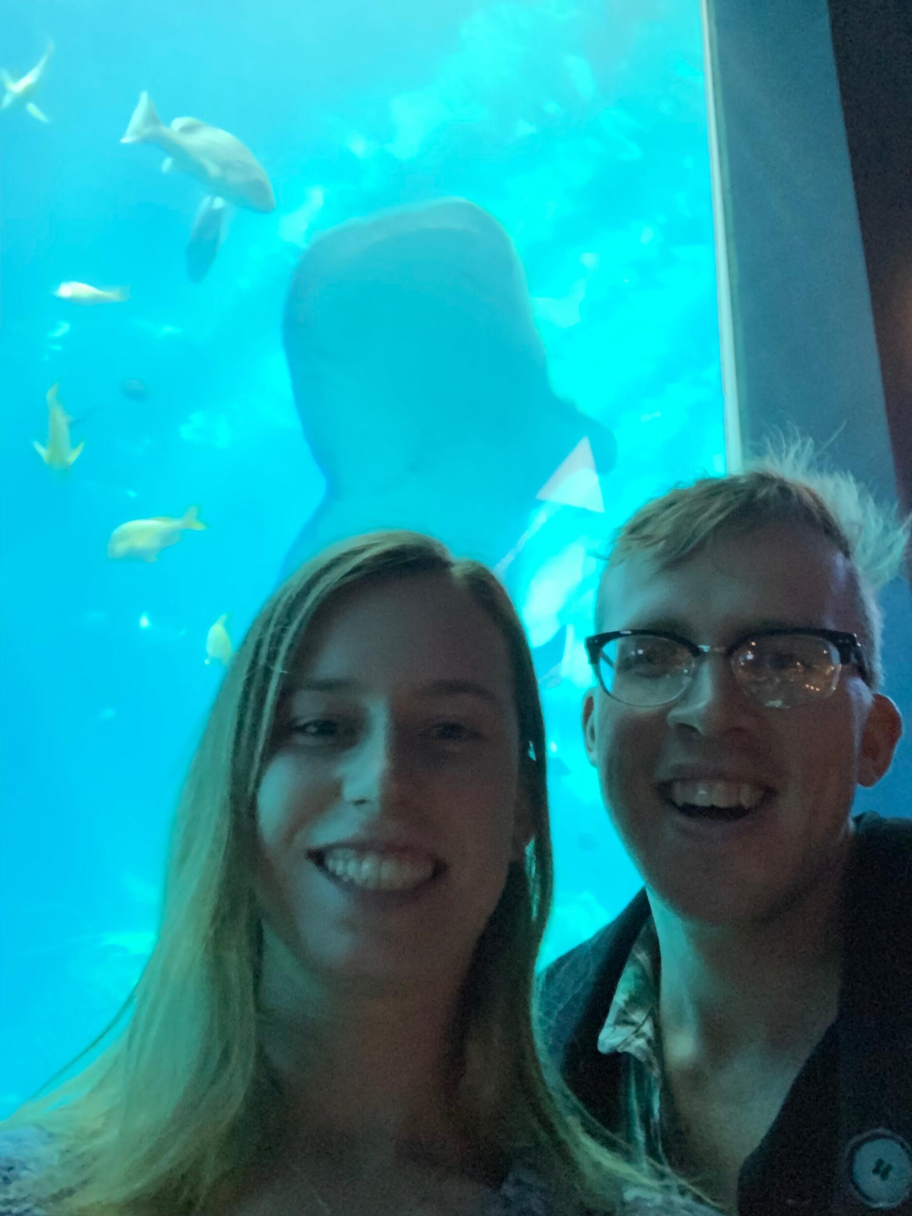 Georgia Aquarium (with whale sharks!) and the Swine Conference