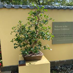 Gallery Photo 6