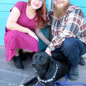 Gallery Photo 44