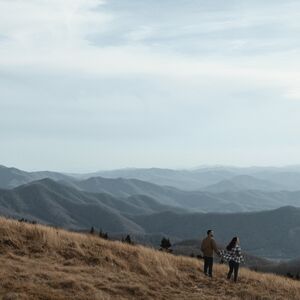 Gallery Photo 16