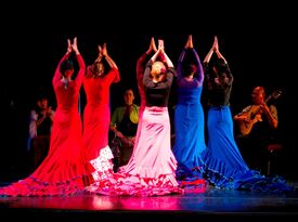 Arte Flamenco - Flamenco Dancer - Laurel, MD - Hero Gallery 2
