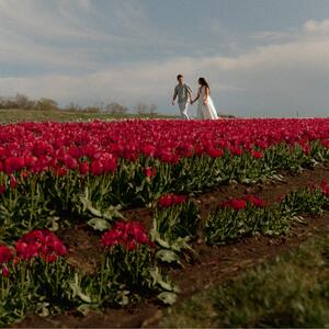Gallery Photo 8