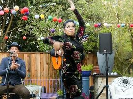 Dos Bandoleros, Rumba Flamenca/Latin duo - Latin Band - San Francisco, CA - Hero Gallery 4